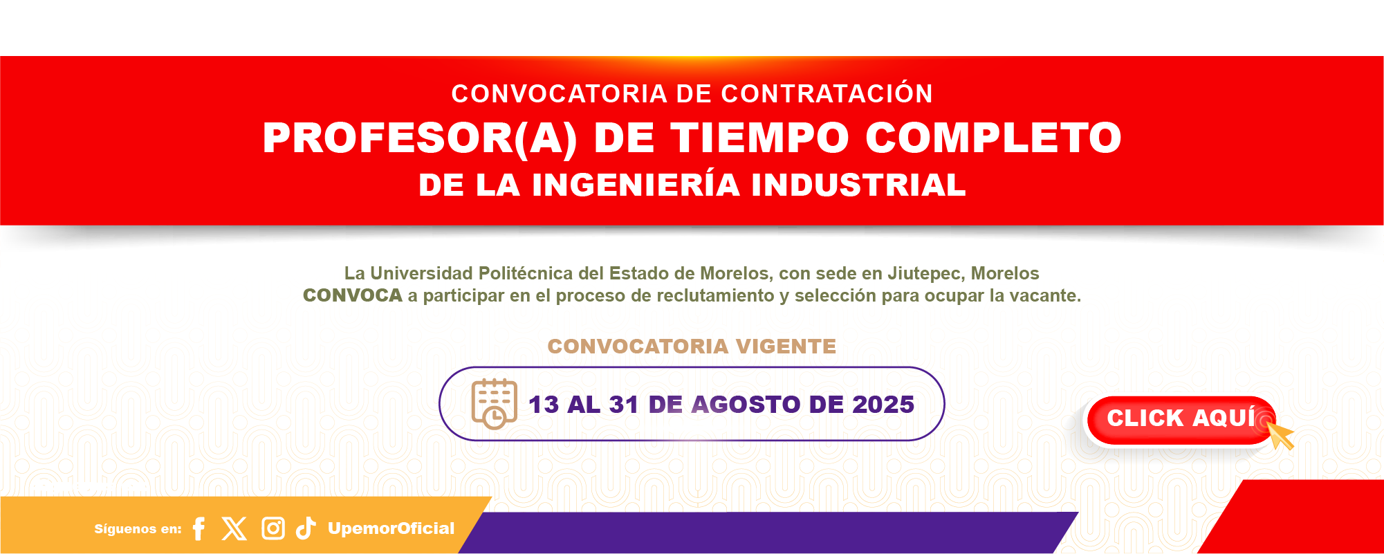 Convocatoria PTC IIN